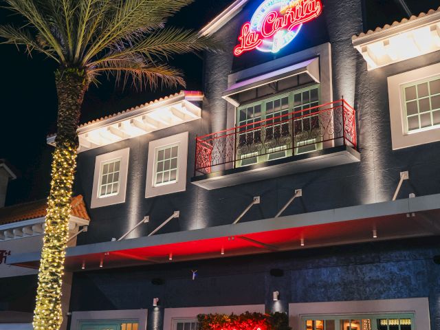 Night scene outside a neon-lit building with a palm tree, red signage, and a small group by a car. The photo glows with blue and red lights.