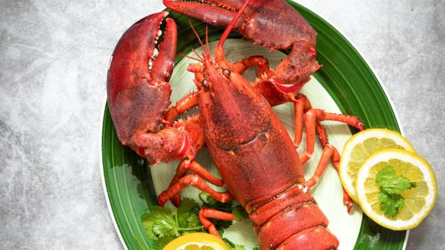 A plate of cooked lobster with claws and tails, garnished with cilantro and lemon slices.